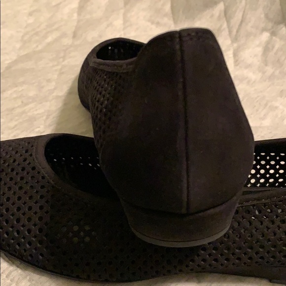 Gabor Lavato - Picture 7 of 8